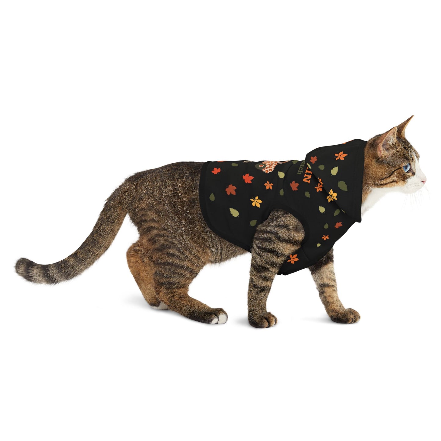 Custom Name Fall Pet Hoodie - Cutest Pumpkin in the Patch