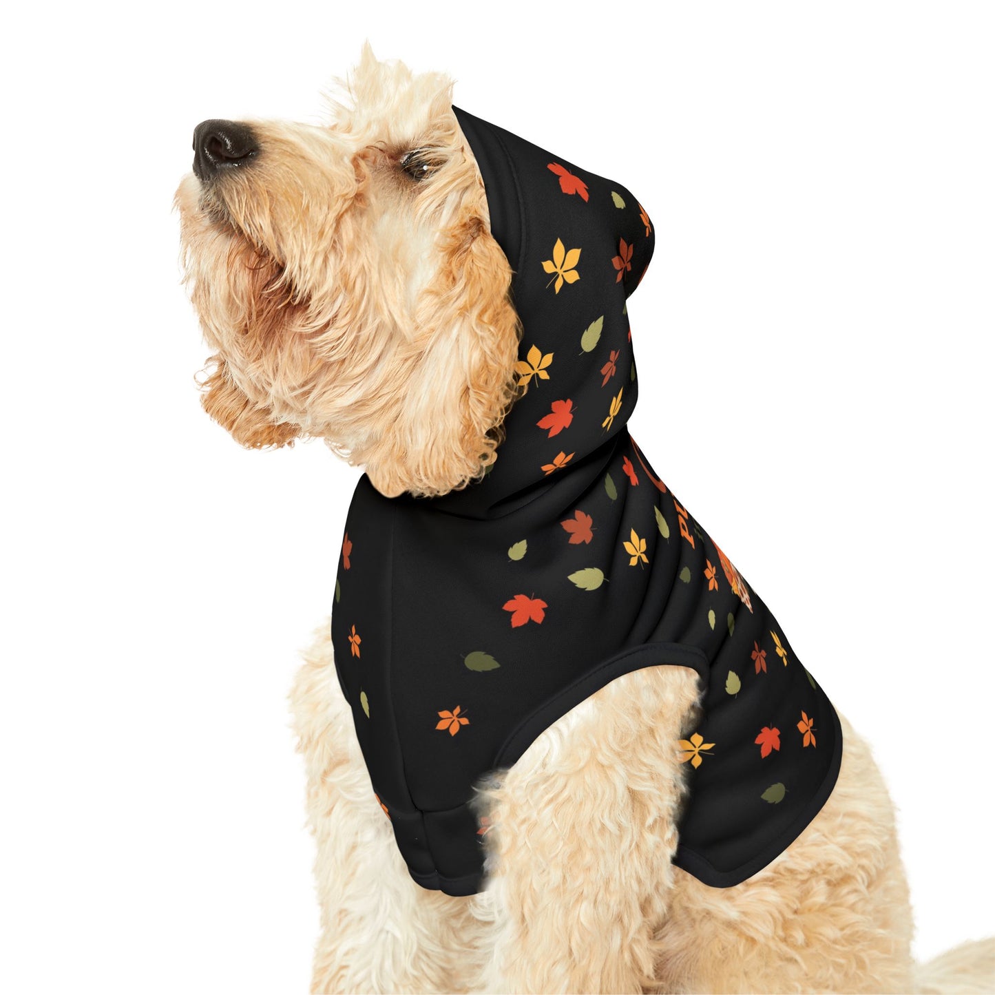 Custom Name Fall Pet Hoodie - Cutest Pumpkin in the Patch