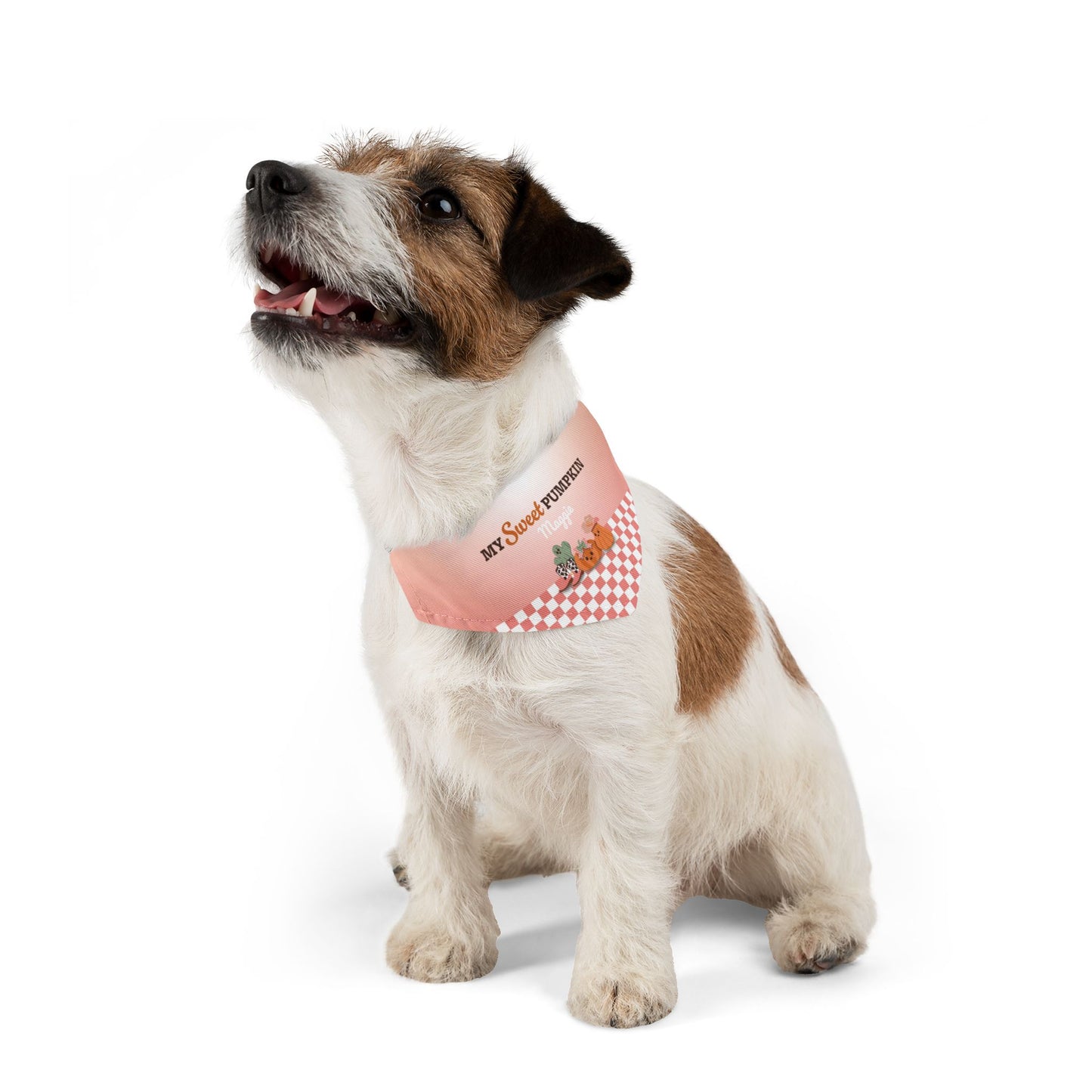Custom Name Thanksgiving Dog Bandana Collar - My Sweet Pumpkin