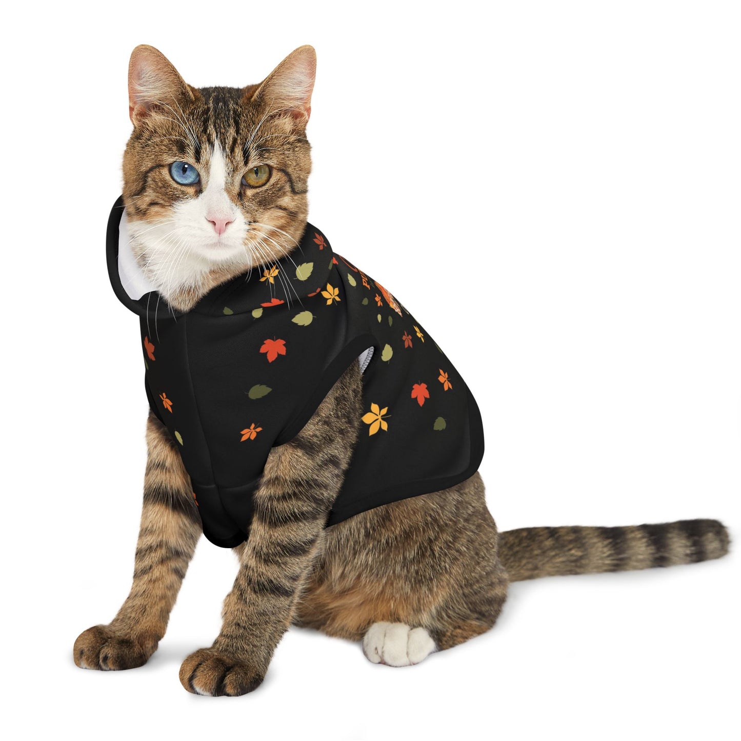 Custom Name Fall Pet Hoodie - Cutest Pumpkin in the Patch