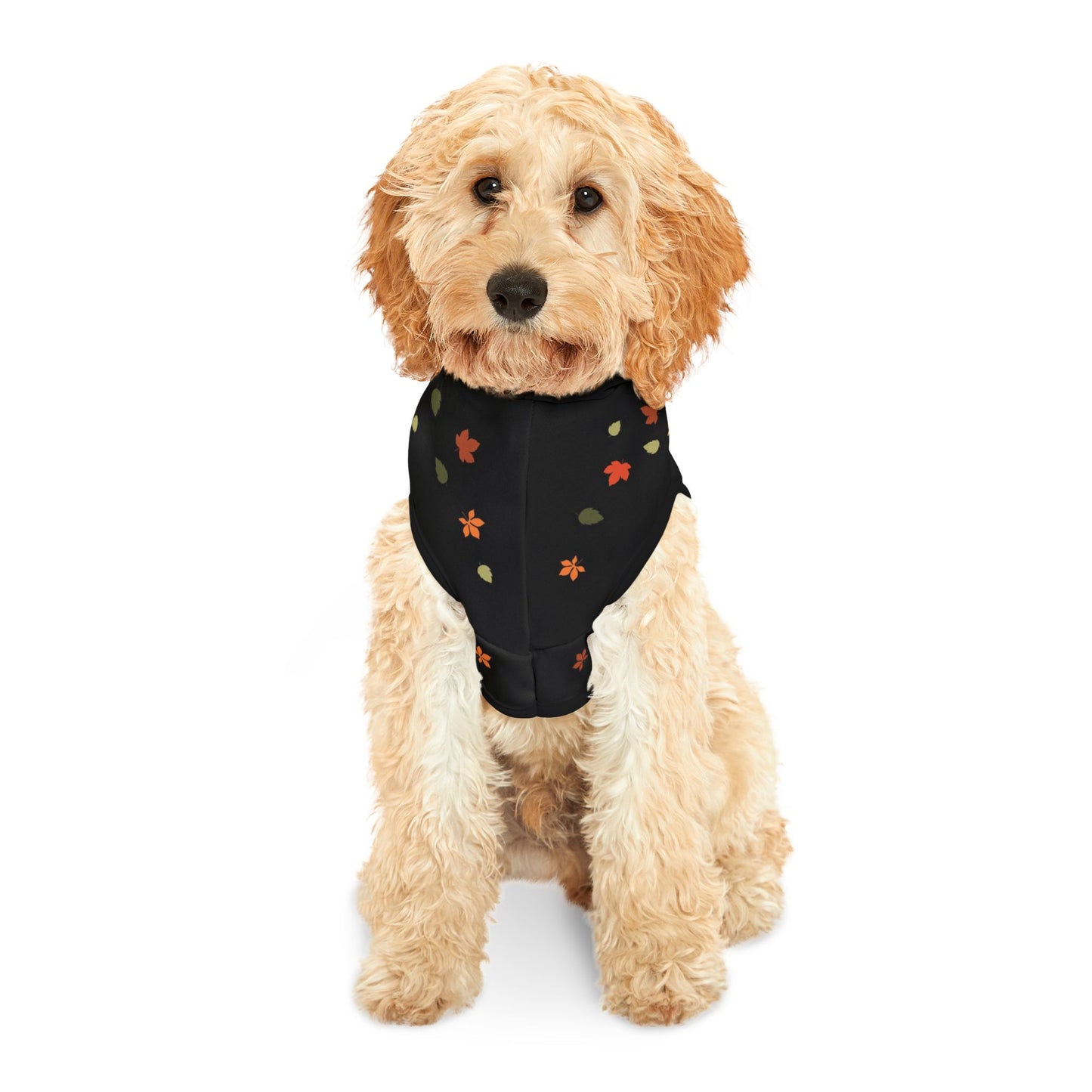 Custom Name Fall Pet Hoodie - Cutest Pumpkin in the Patch
