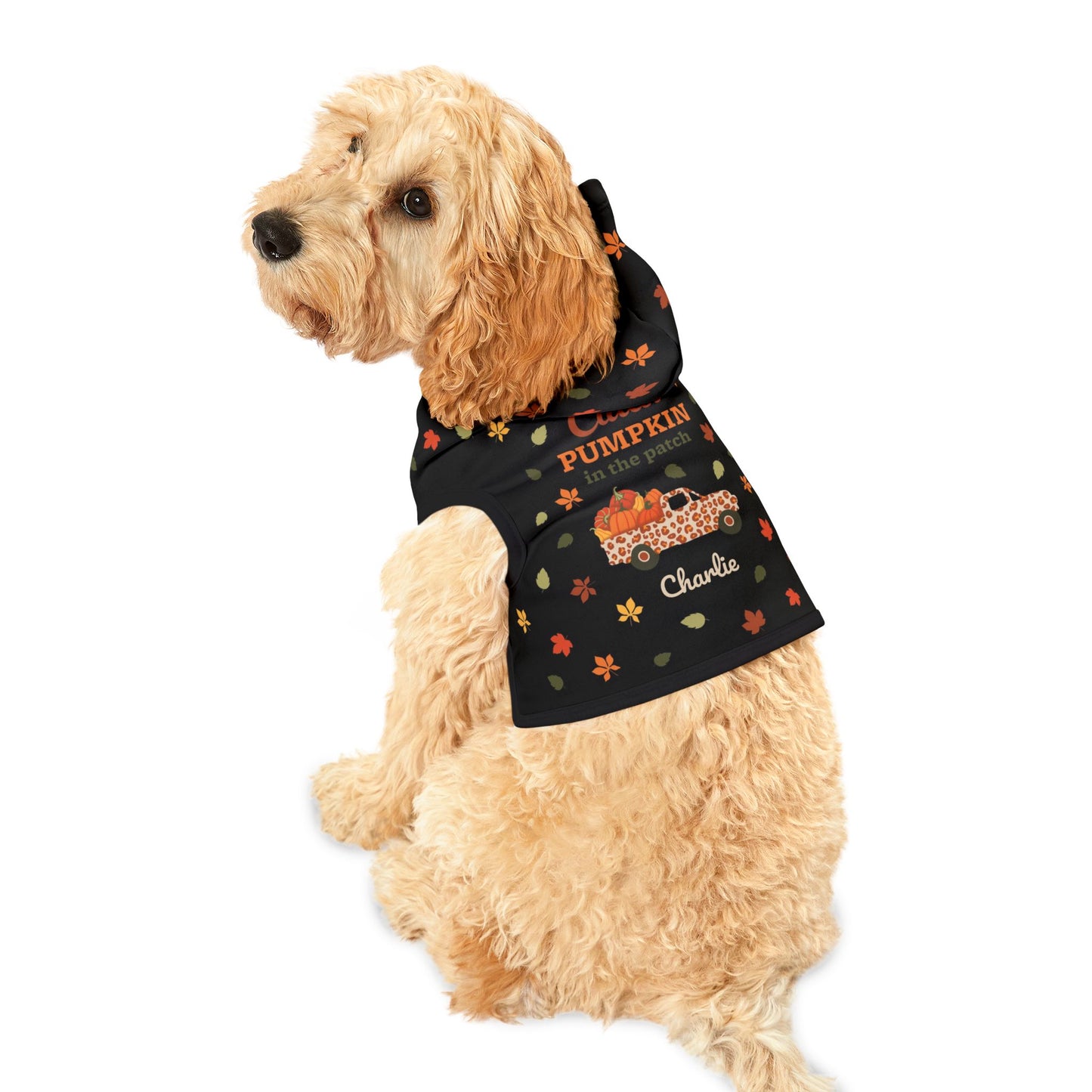 Custom Name Fall Pet Hoodie - Cutest Pumpkin in the Patch