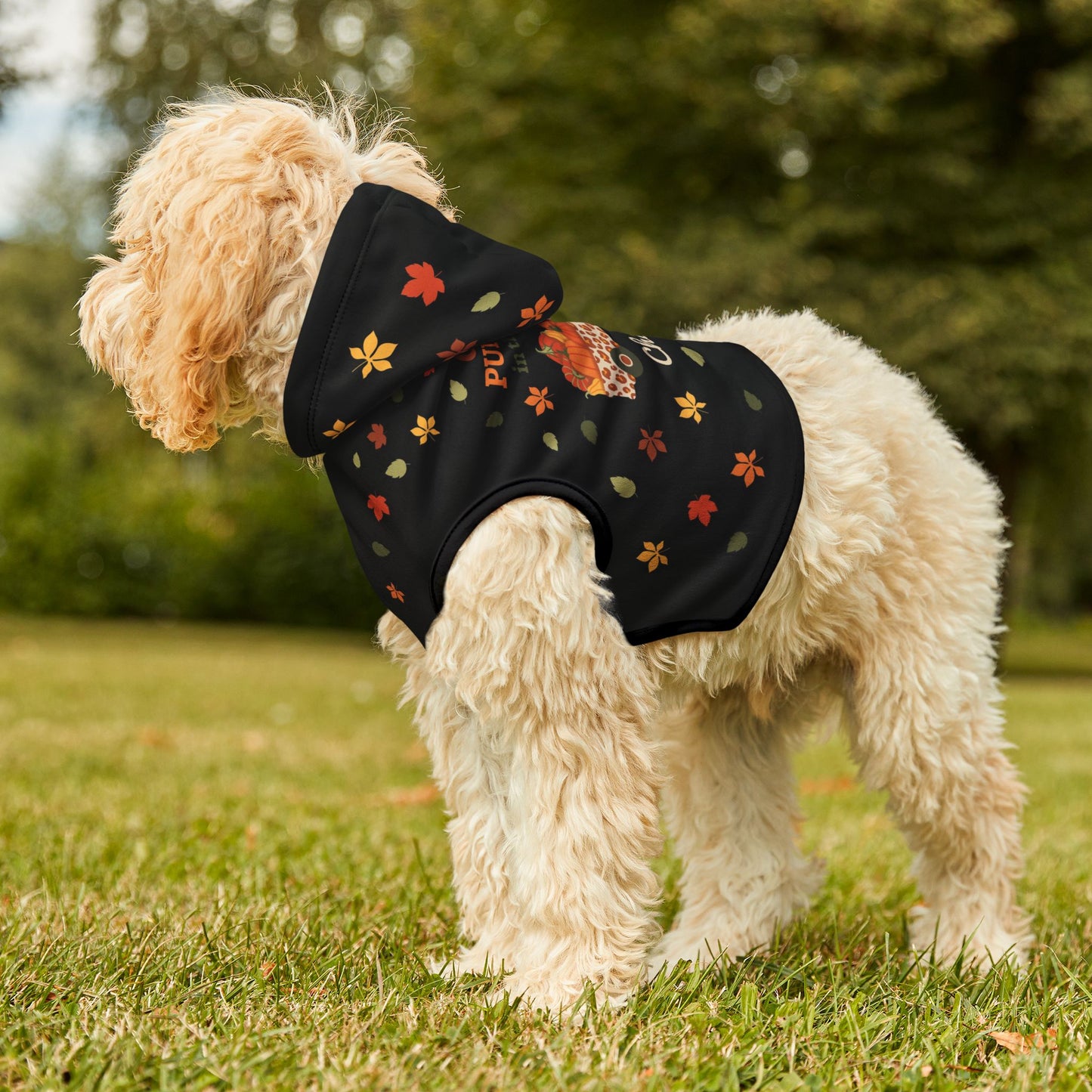 Custom Name Fall Pet Hoodie - Cutest Pumpkin in the Patch