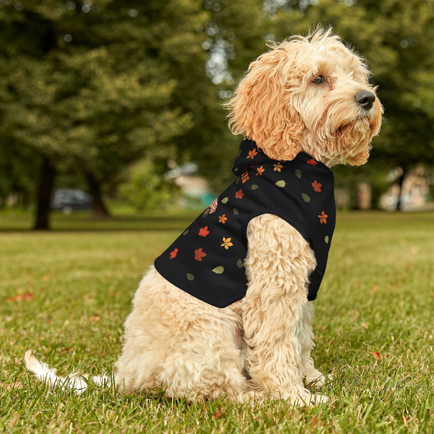 Custom Name Fall Pet Hoodie - Cutest Pumpkin in the Patch